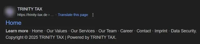 Google-Suchergebnis von Trinity Tax vor dem Relaunch: Der Titel lautet nur Home. Das Logo ist unkenntlich gemacht.